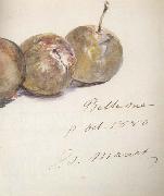 Edouard Manet Lettre avec trois prunes (mk40) china oil painting artist